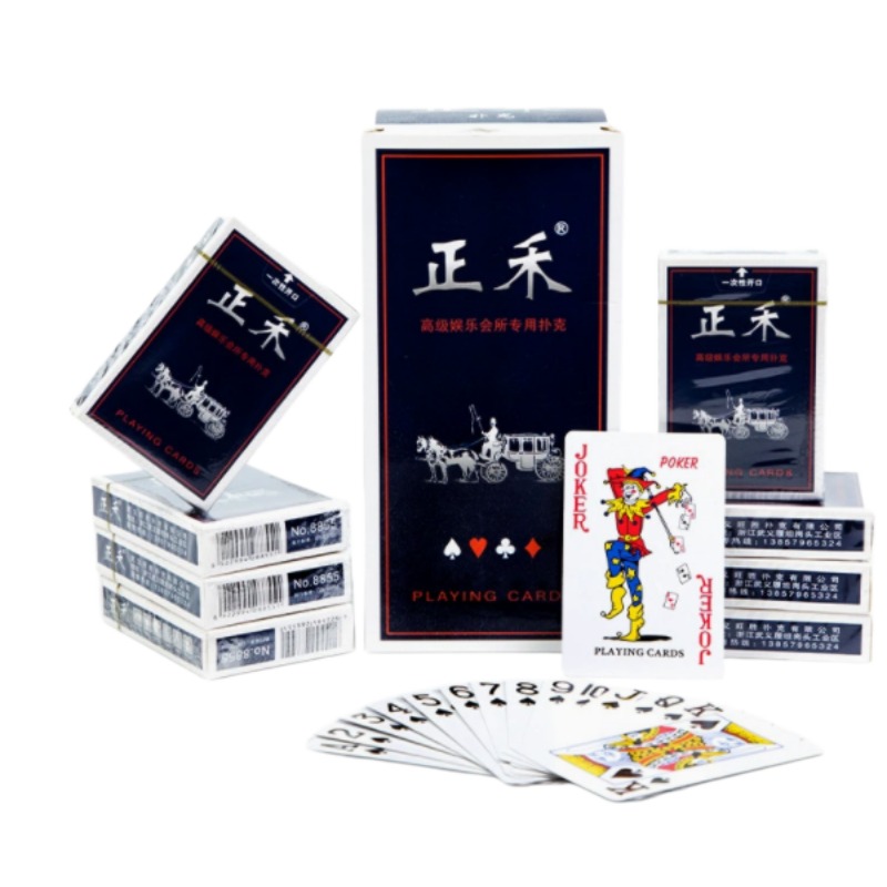Zestaw wysokiej jakości kart d – Book Party Games recenzja i cena